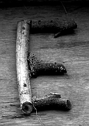 Wall_Art_Alphabet_Photography_Art_ 529